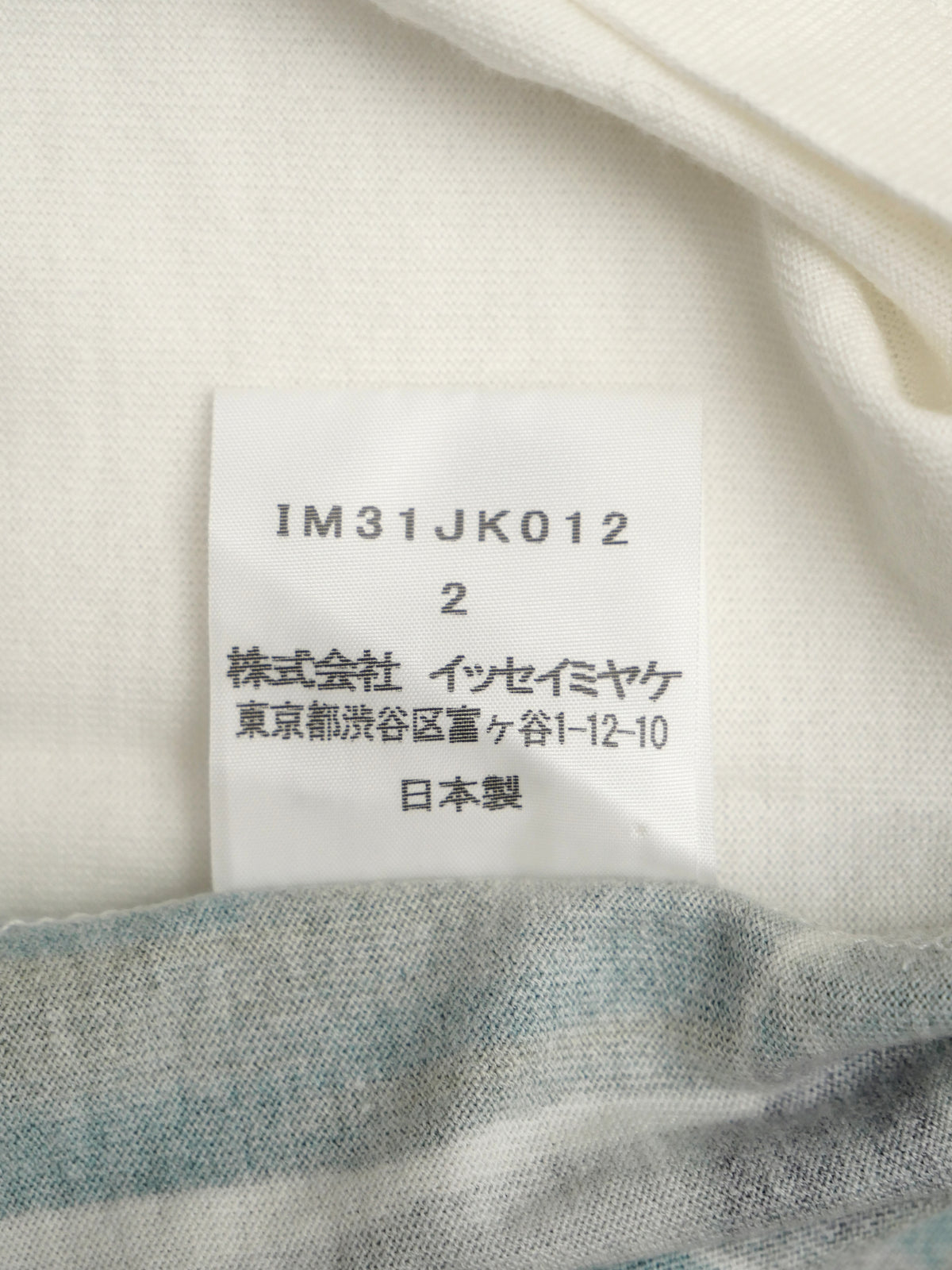 ISSEY MIYAKE イッセイミヤケ プリントTシャツ 半袖 2 ホワイト